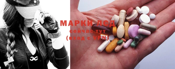 spice Богородицк