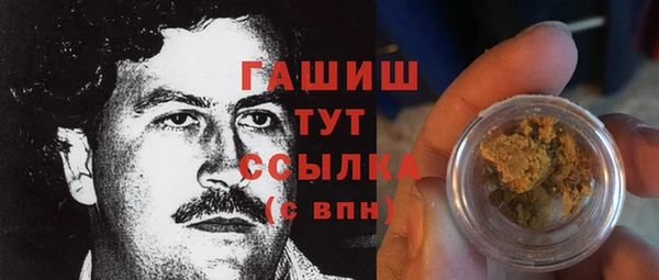 spice Богородицк