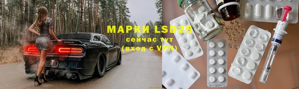 амф Богданович