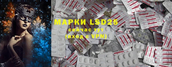 spice Богородицк