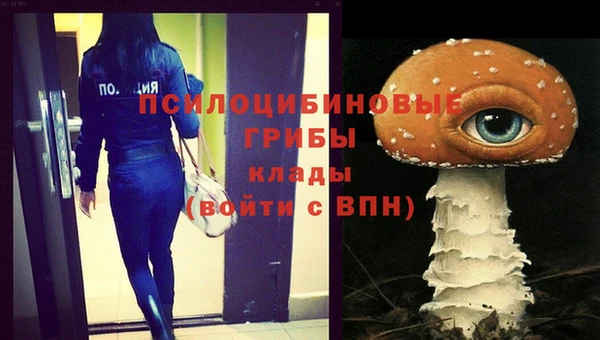 spice Богородицк