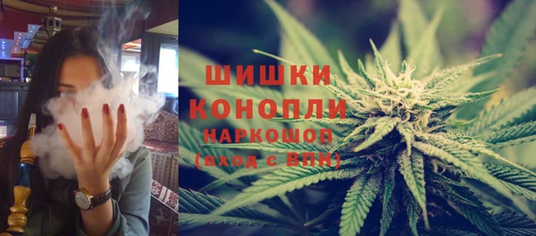 молекула духа Богородск