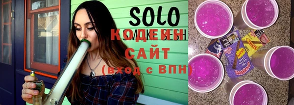 spice Богородицк
