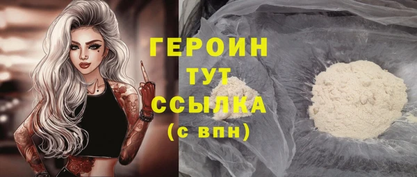 spice Богородицк
