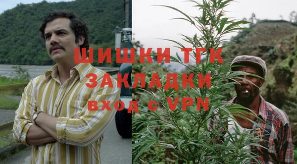 spice Богородицк